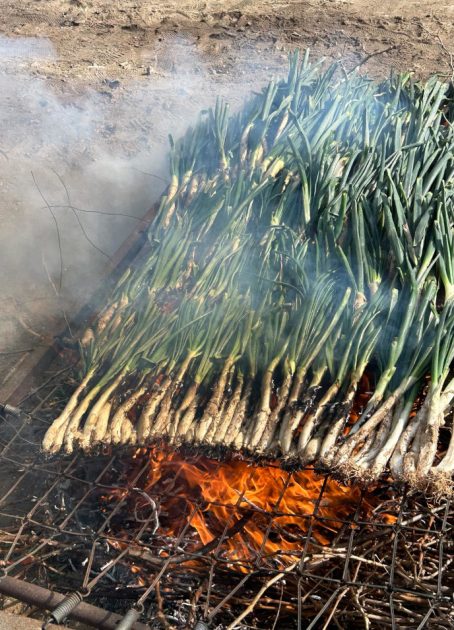 calçots
